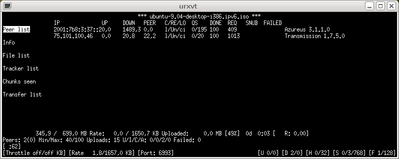 rTorrent with an IPv6 peer
